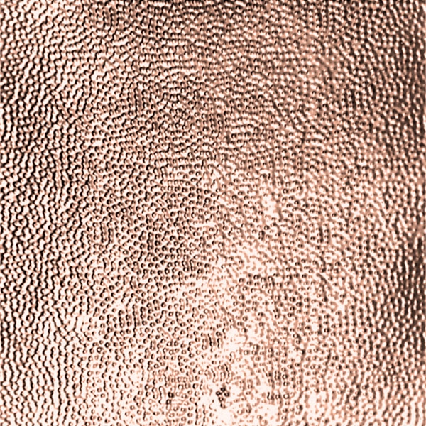 Image of Filler & Border Panels